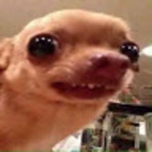 Meet your Posher, Alanah